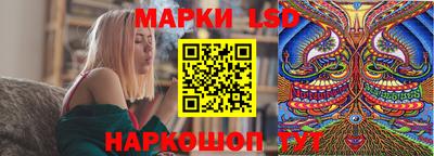 прущие грибы Краснодар