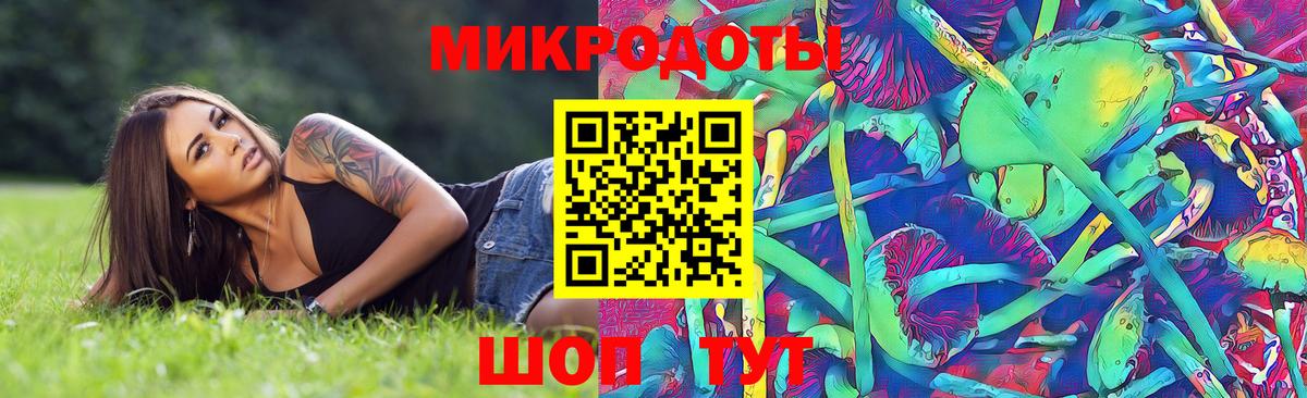 Псилоцибиновые грибы Psilocybine cubensis Хасавюрт