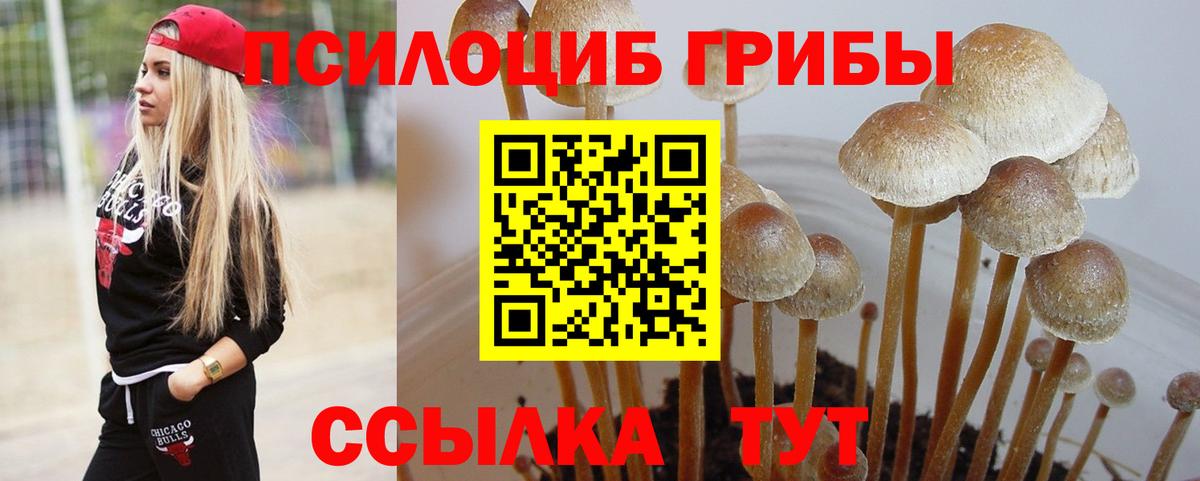 Псилоцибиновые грибы Psilocybine cubensis  Вход с VPN  Галлюциногенные грибы мухоморы  Хасавюрт 